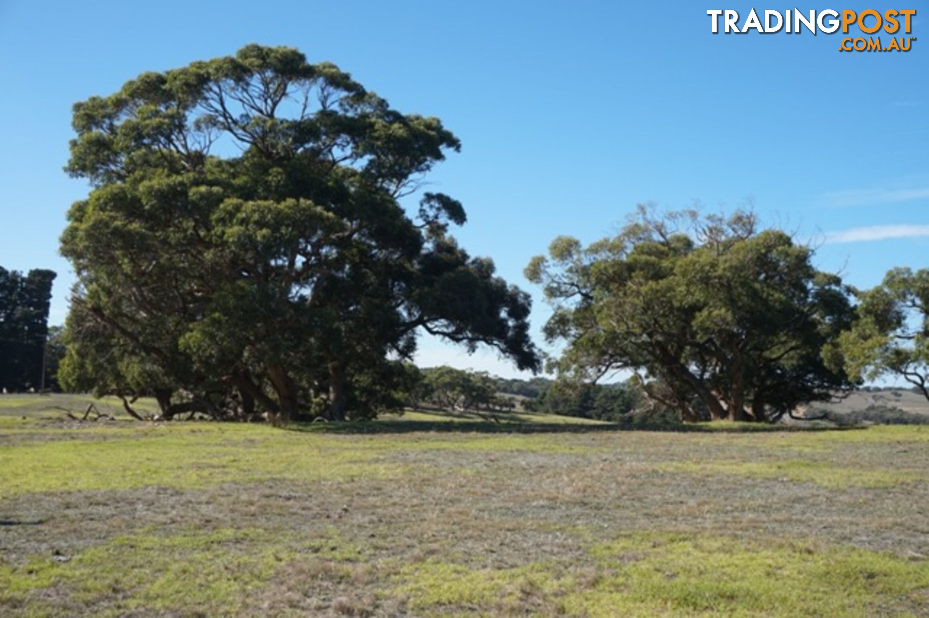 Lot 52 Pambula Road Hindmarsh Tiers SA 5202