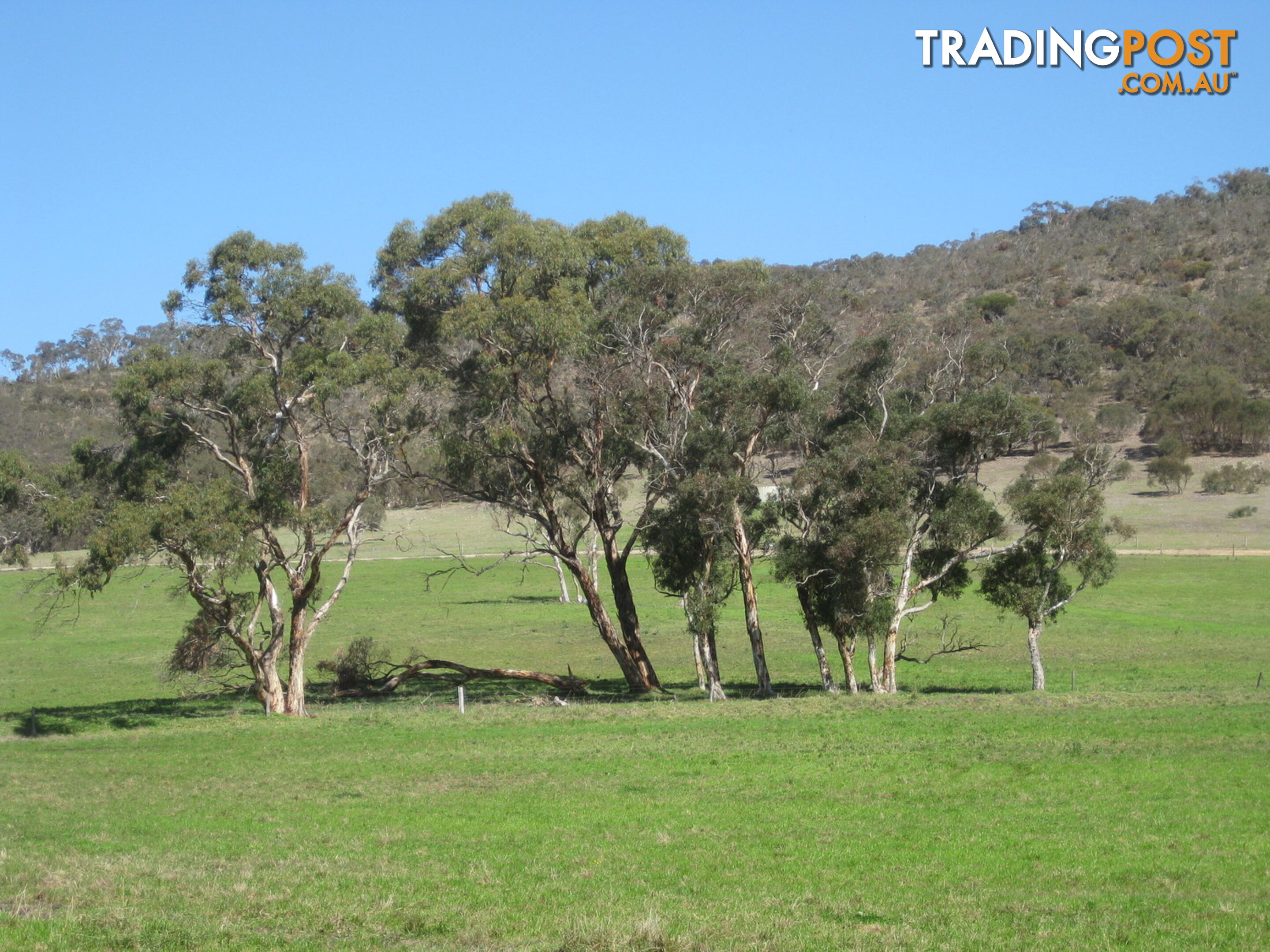 Lot 8 Cleland Gully Road Mount Compass SA 5210