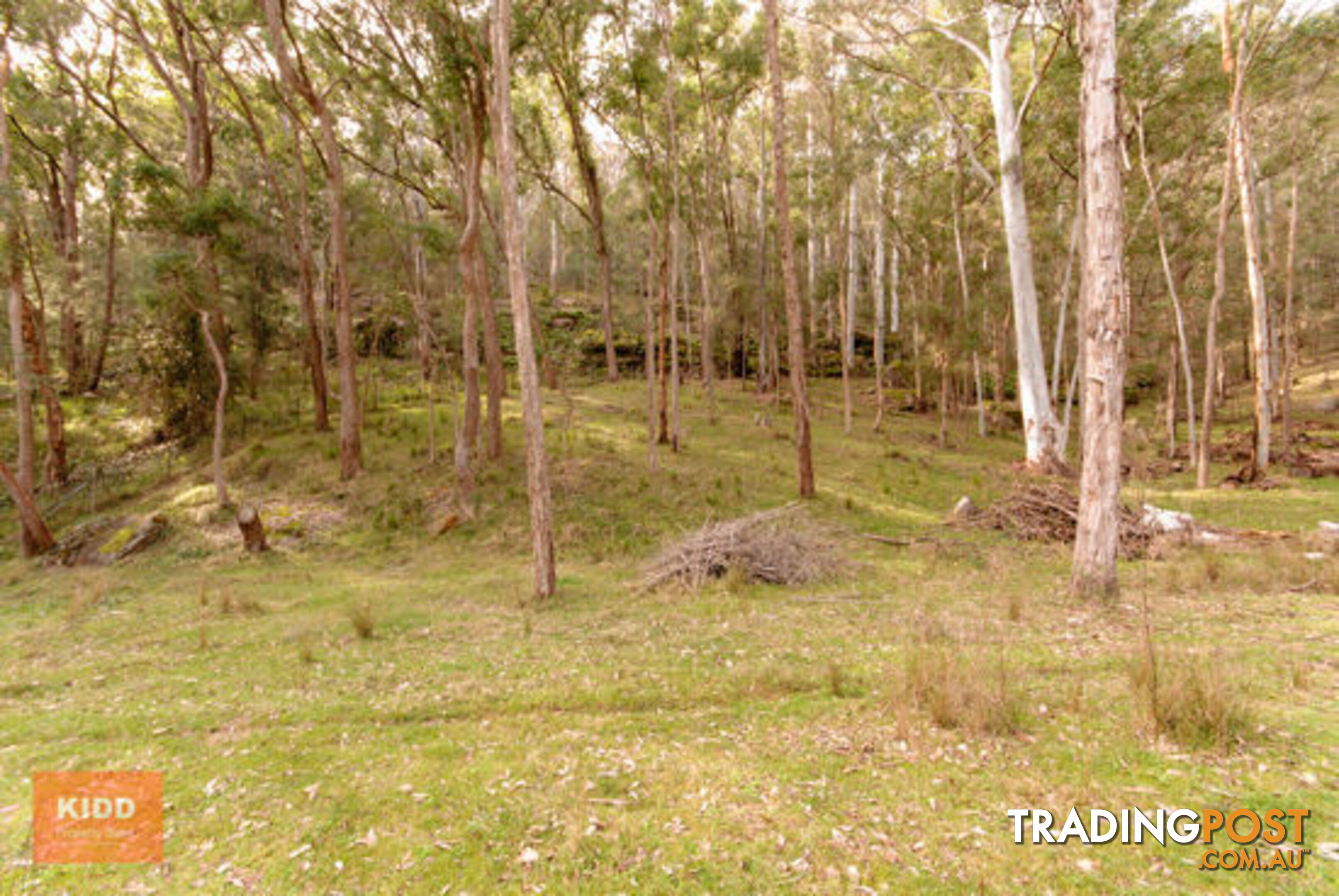 4751 Great North Road FERNANCES CROSSING NSW 2325