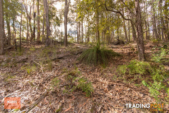 62 Una Road BUCKETTY NSW 2250