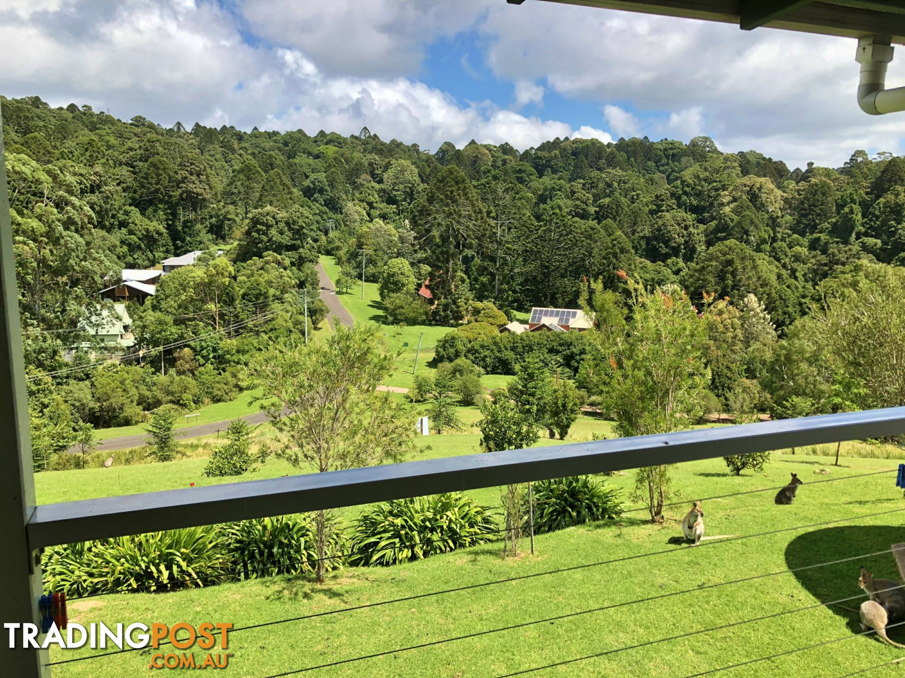 49 Bowerbird Lane BUNYA MOUNTAINS QLD 4405