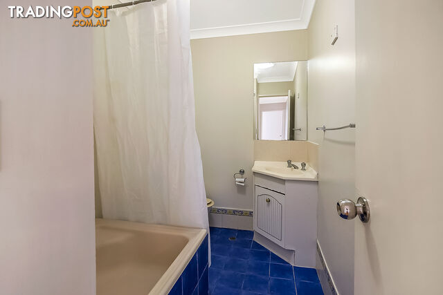 41 James Meehan Street WINDSOR NSW 2756