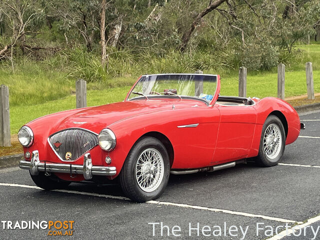 1955 AUSTIN HEALEY