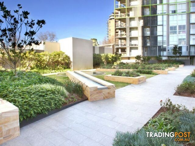 45 Bowman Street PYRMONT NSW 2009