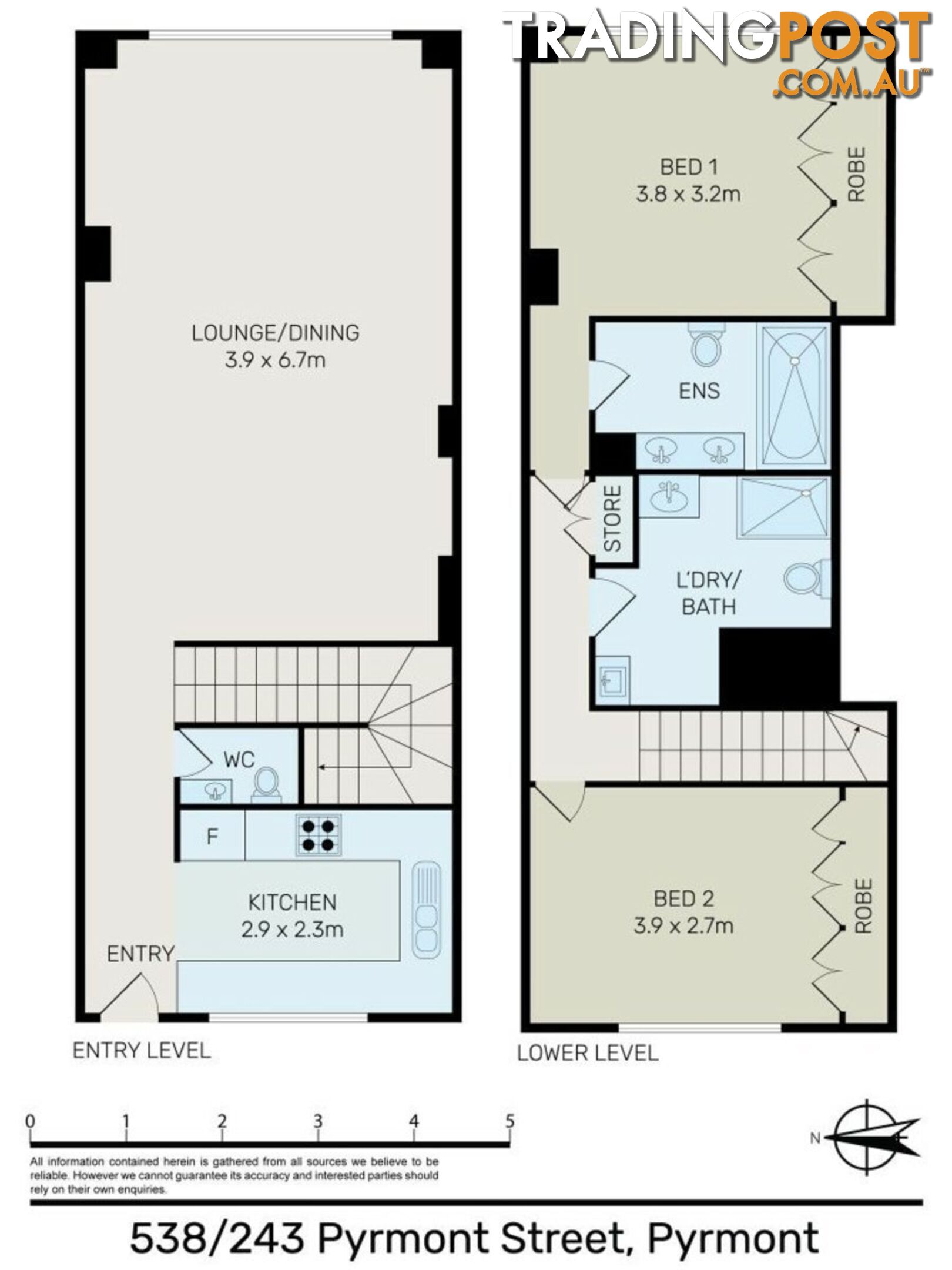 538 243 Pyrmont Street PYRMONT NSW 2009