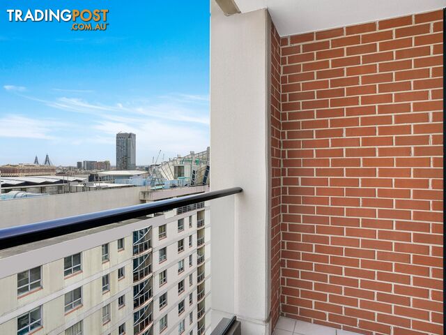 163/8 Dixon Street SYDNEY NSW 2000