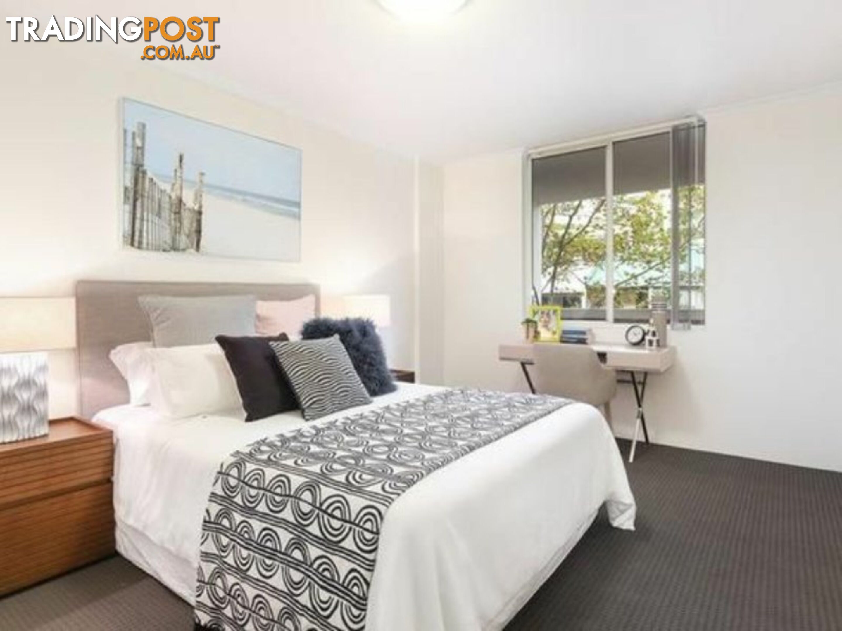 N104/233 Harris Street PYRMONT NSW 2009