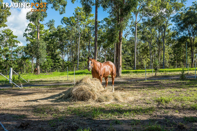 68 Herron Road PIE CREEK QLD 4570