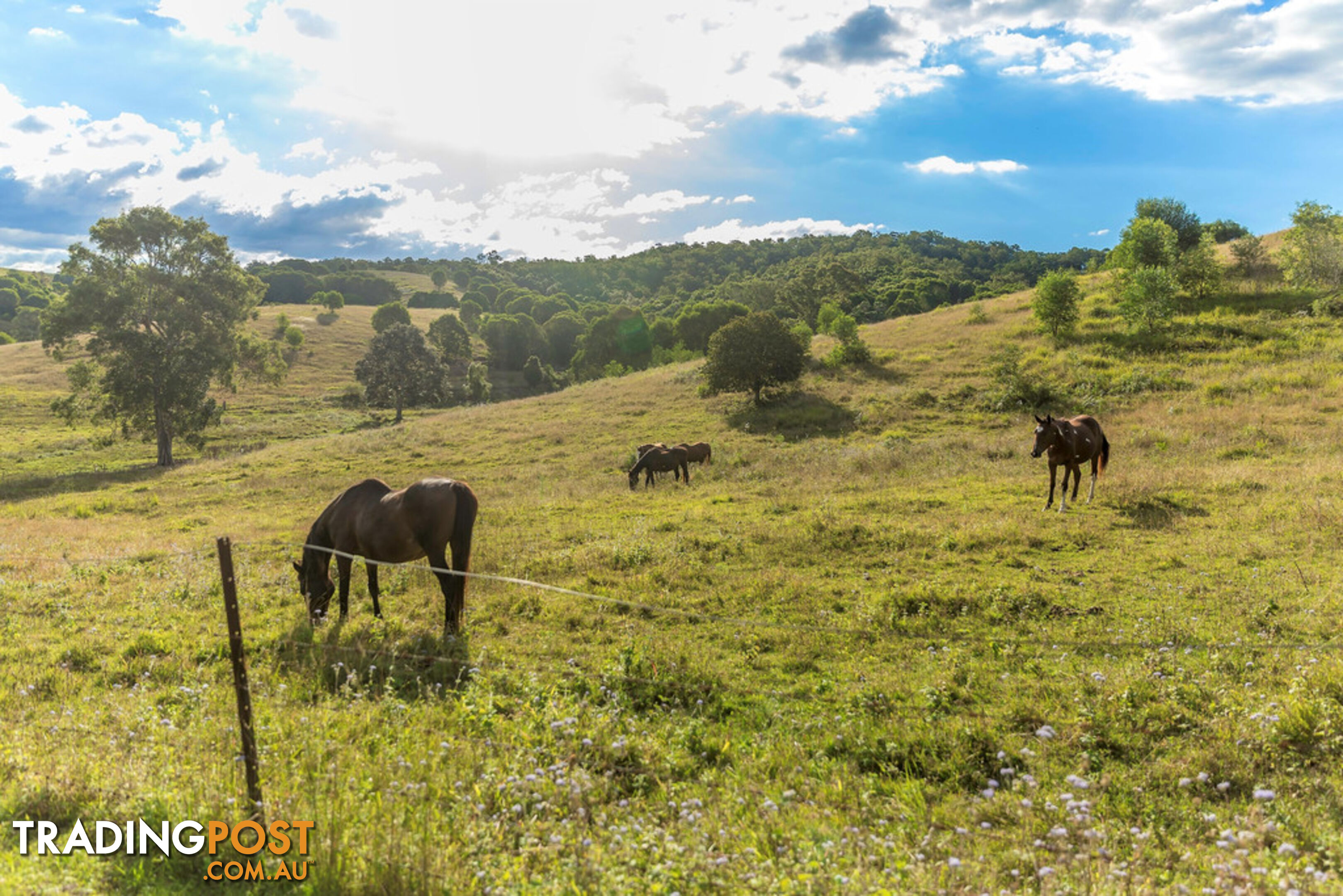 674 Kandanga Creek Rd KANDANGA CREEK QLD 4570