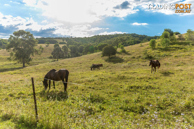 674 Kandanga Creek Rd KANDANGA CREEK QLD 4570