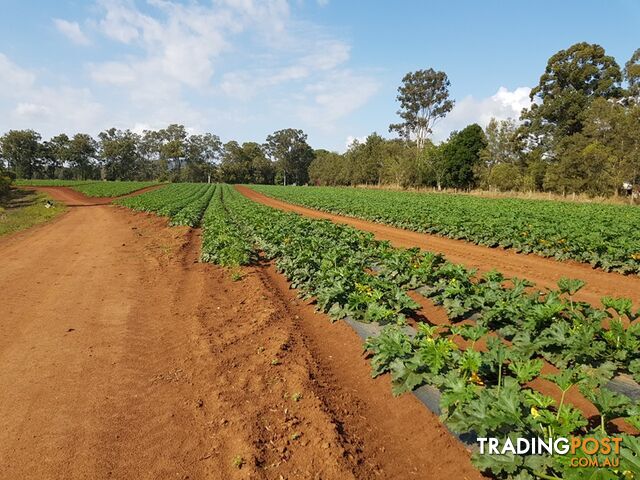 NEERDIE QLD 4570