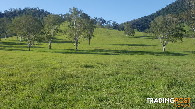 WIDGEE QLD 4570