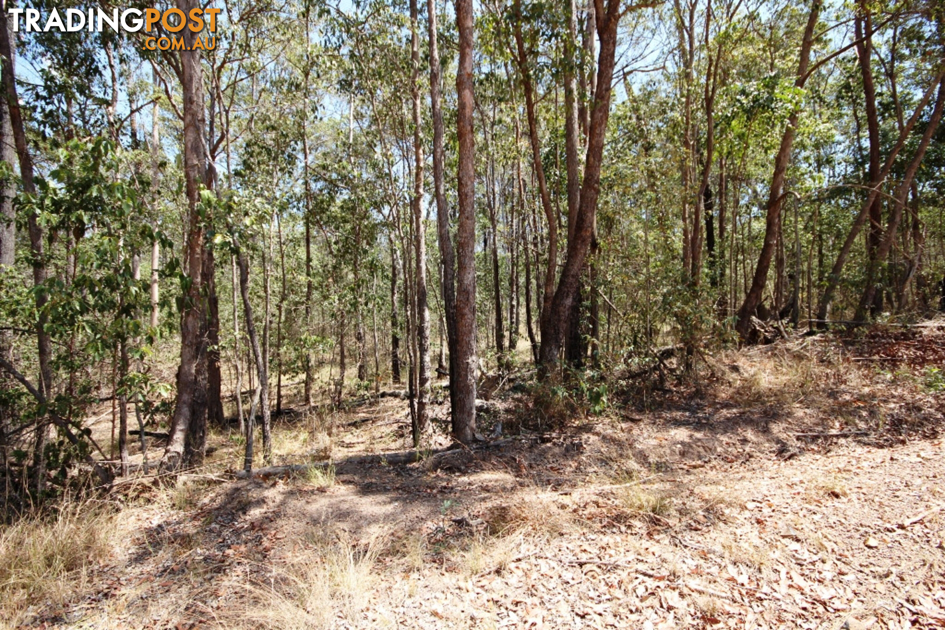 Lot 698 Arbortwentysix Road GLENWOOD QLD 4570