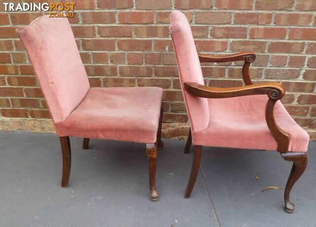 5 Matching Queen Anne Antique Timber Upholstered Carver Chairs