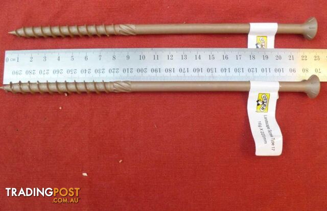 Fifty (50) Bugle Head Batten Timber Screws 16G x 250 mm - photo 2 of 4
