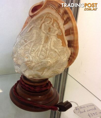 Collectable carved shell of the three graces Tre Grazie