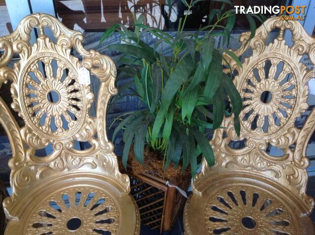 Outdoor aluminium gold chairs. Nice outdoor setting - photo 3 of 7
