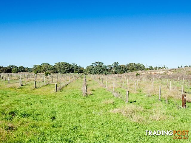 62 Chaunceys Line Road HARTLEY SA 5255