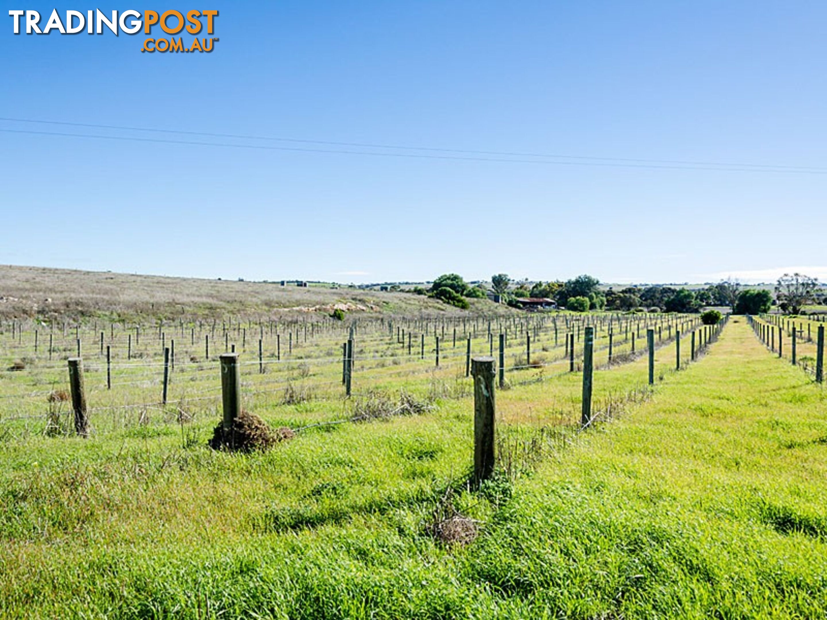 62 Chaunceys Line Road HARTLEY SA 5255