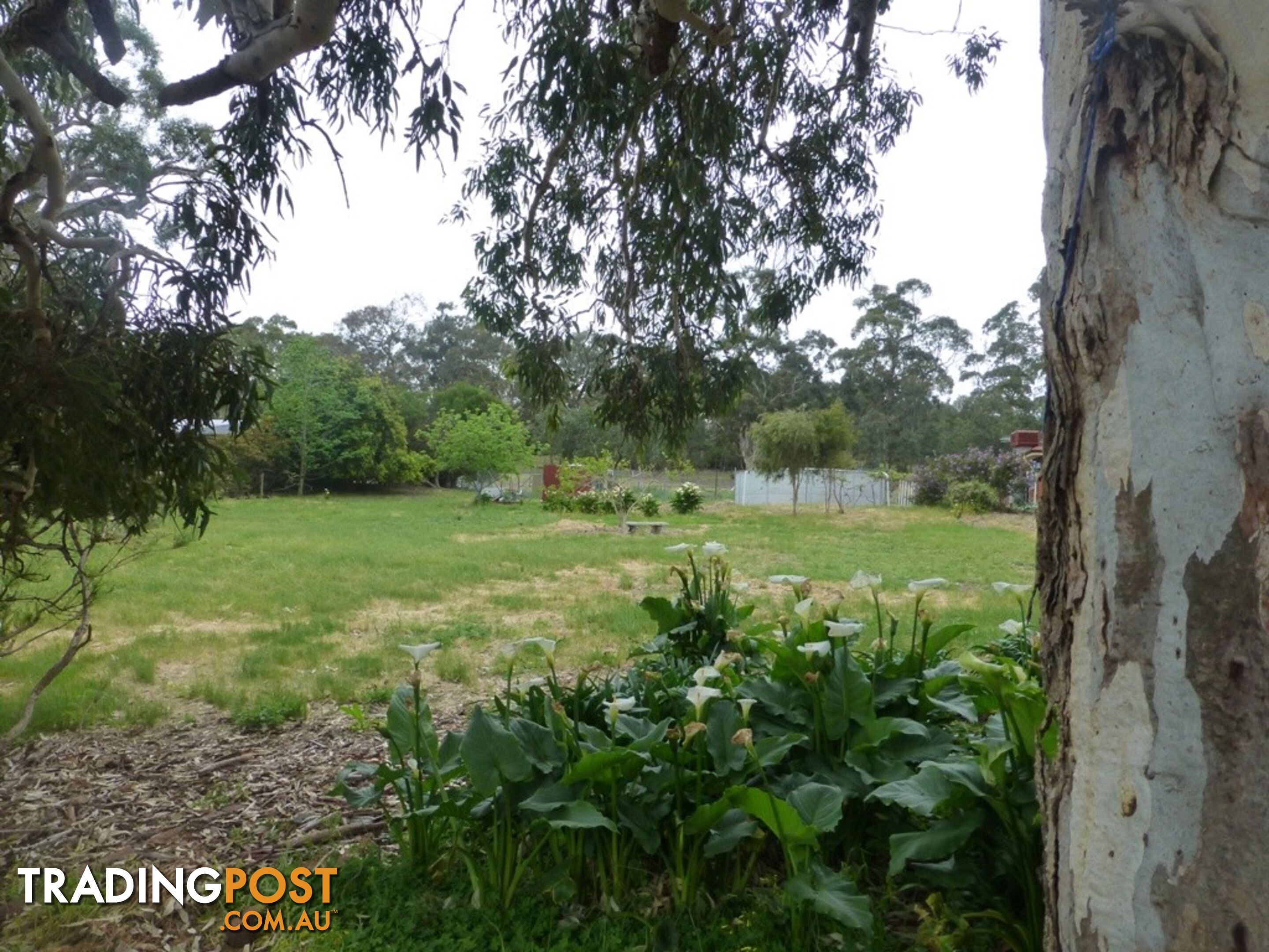 Lot 36 Bull Creek Road ASHBOURNE SA 5157