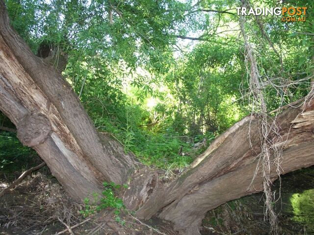 Lt 94 Bull Creek Road BULL CREEK SA 5157