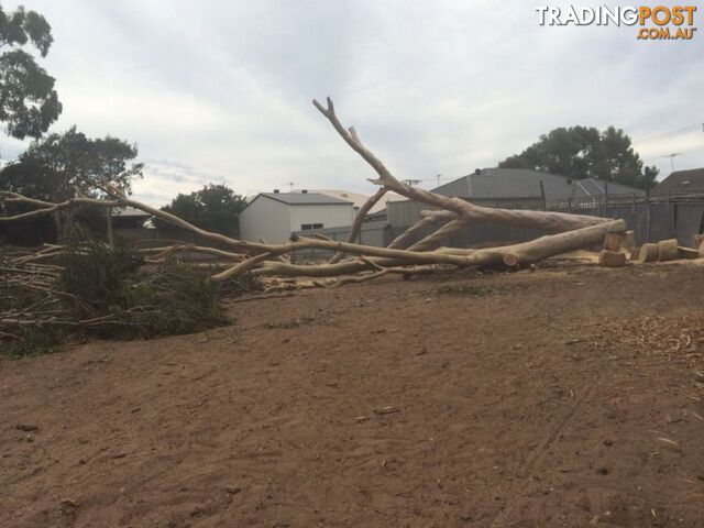 FIREWOOD FOR SALE - photo 3 of 10