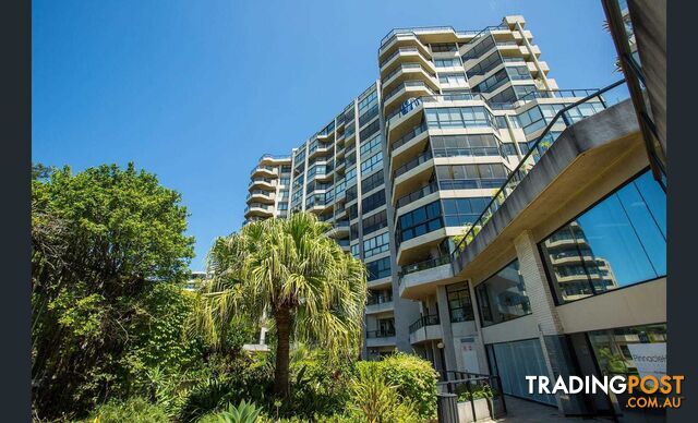 1005/180 Ocean Street EDGECLIFF NSW 2027