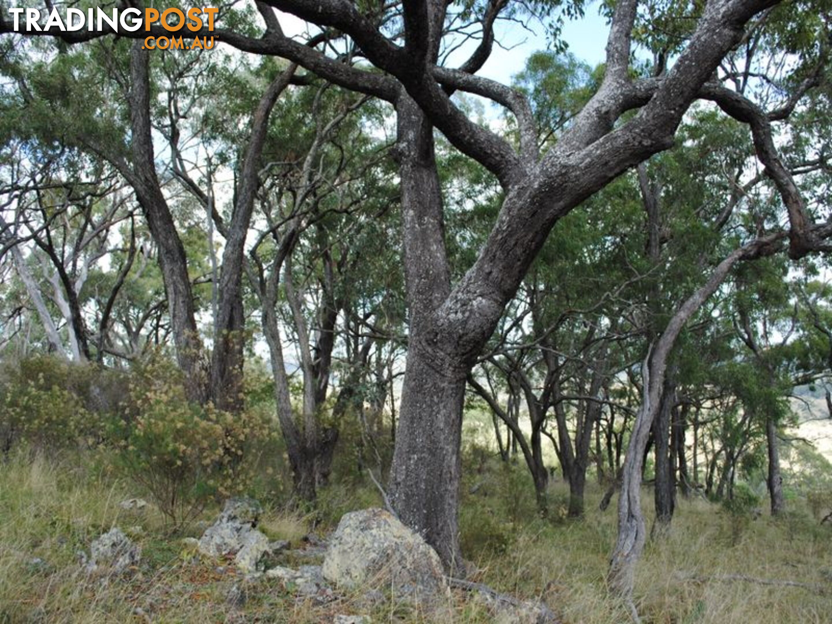 Lot 5 New England Highway WARWICK QLD 4370