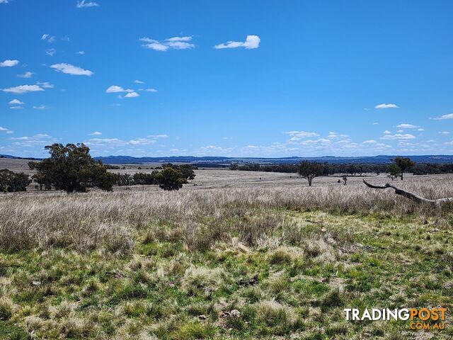 Lot 11 Pikedale Lane STANTHORPE QLD 4380