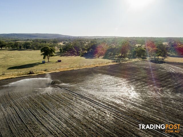 1929 Texas Road STANTHORPE QLD 4380