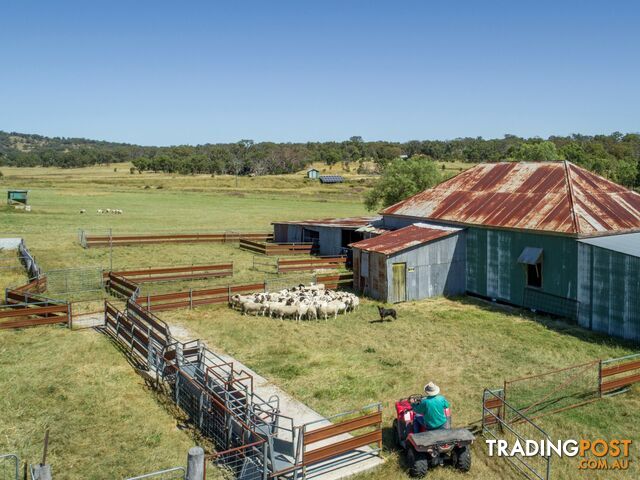 1929 Texas Road STANTHORPE QLD 4380