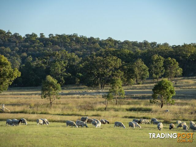 1929 Texas Road STANTHORPE QLD 4380