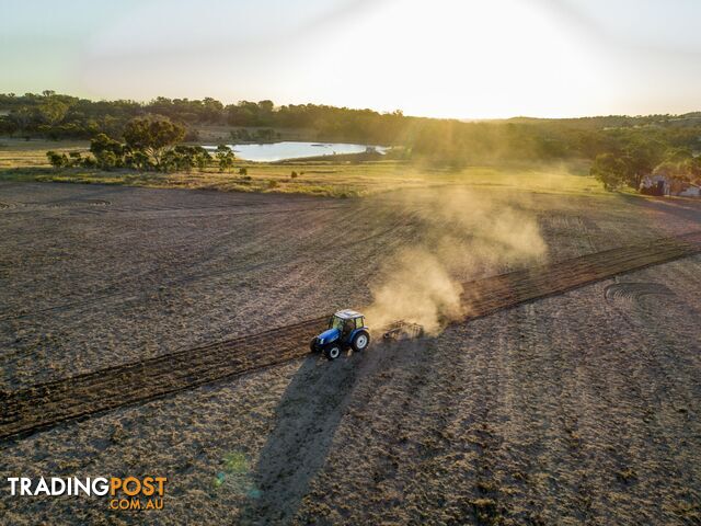 1929 Texas Road STANTHORPE QLD 4380