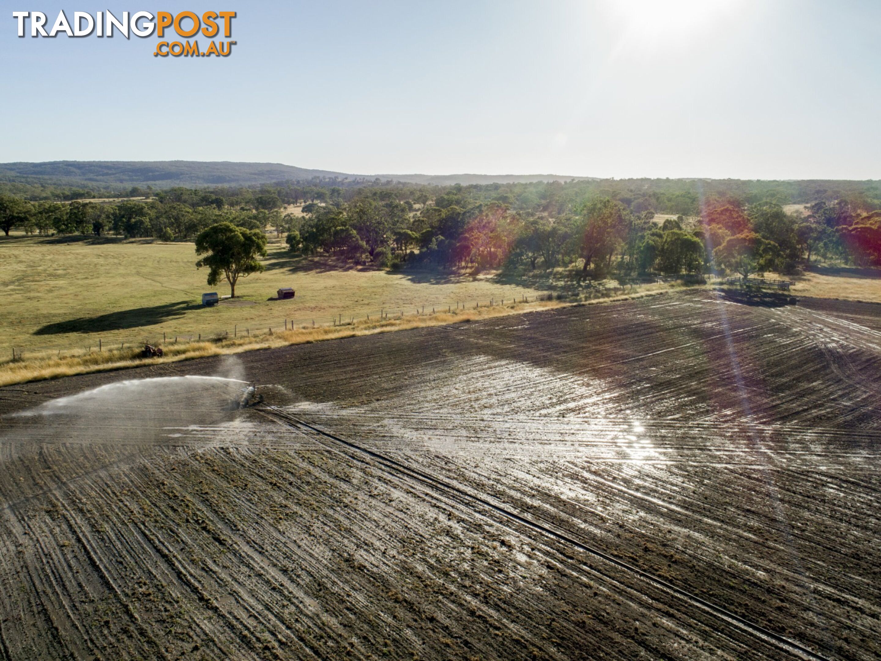 1929 Texas Road STANTHORPE QLD 4380