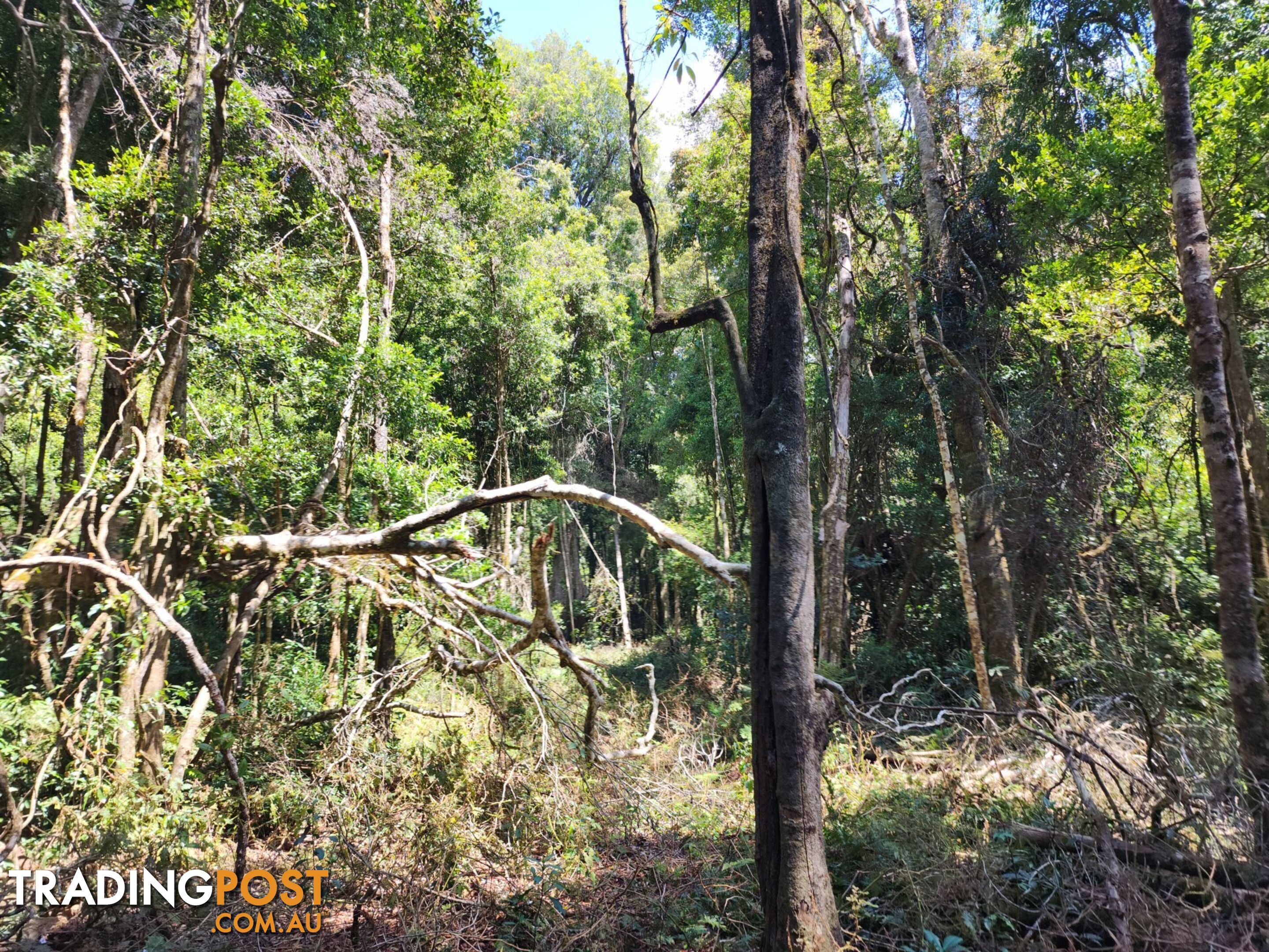 Lot 73 Gambubal Road MOUNT COLLIERY QLD 4370