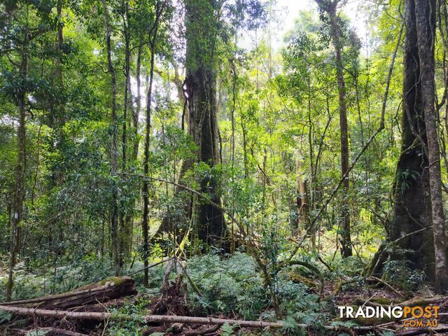 Lot 73 Gambubal Road MOUNT COLLIERY QLD 4370