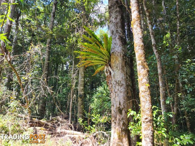 Lot 73 Gambubal Road MOUNT COLLIERY QLD 4370