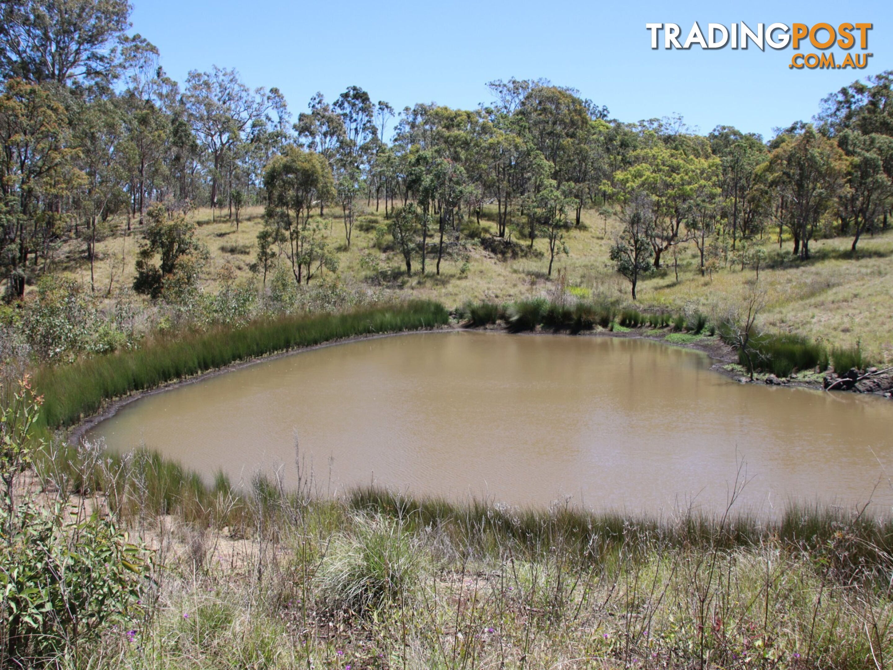 Lot 5 Cunningham Highway TREGONY QLD 4370