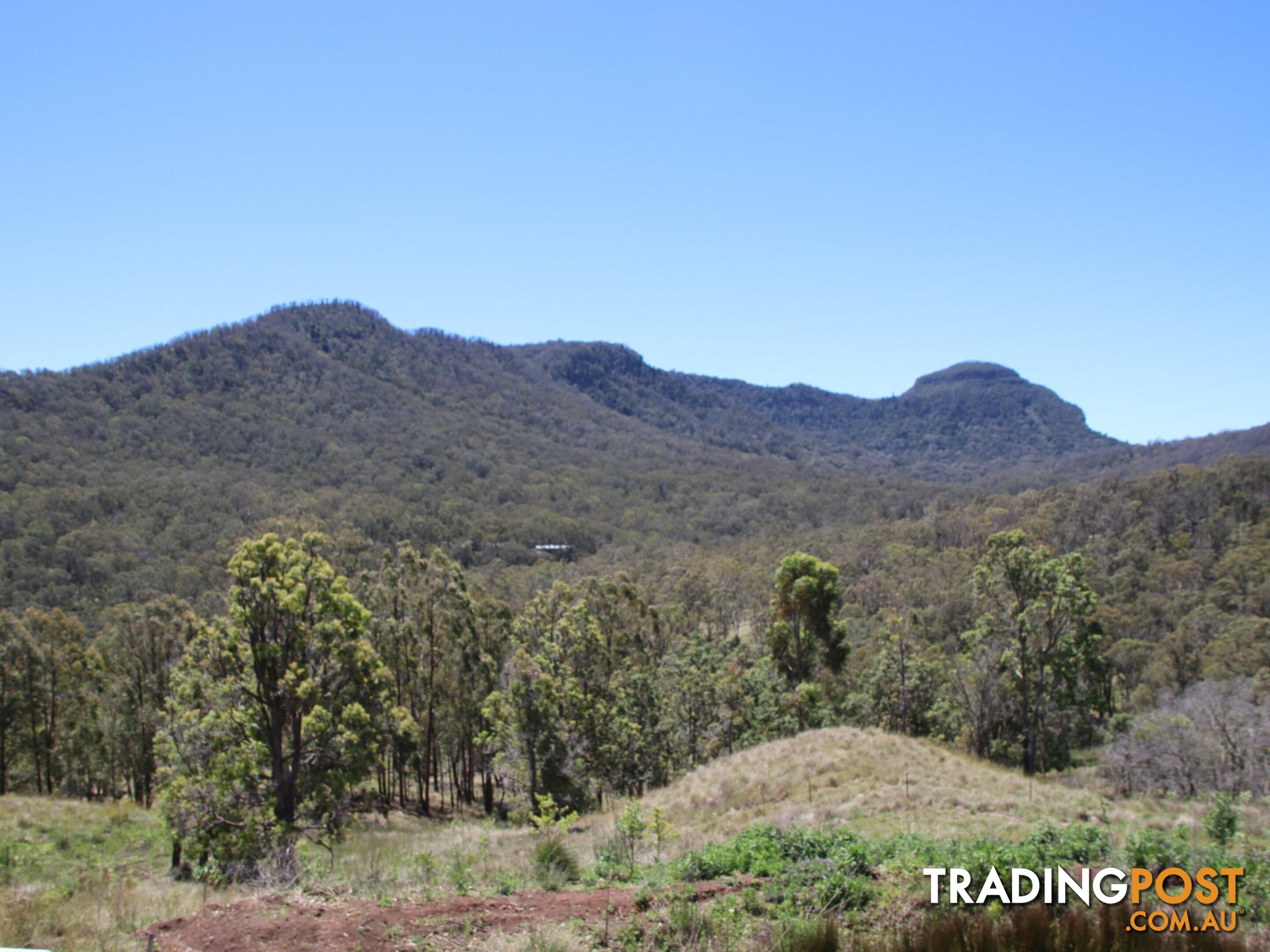 Lot 5 Cunningham Highway TREGONY QLD 4370