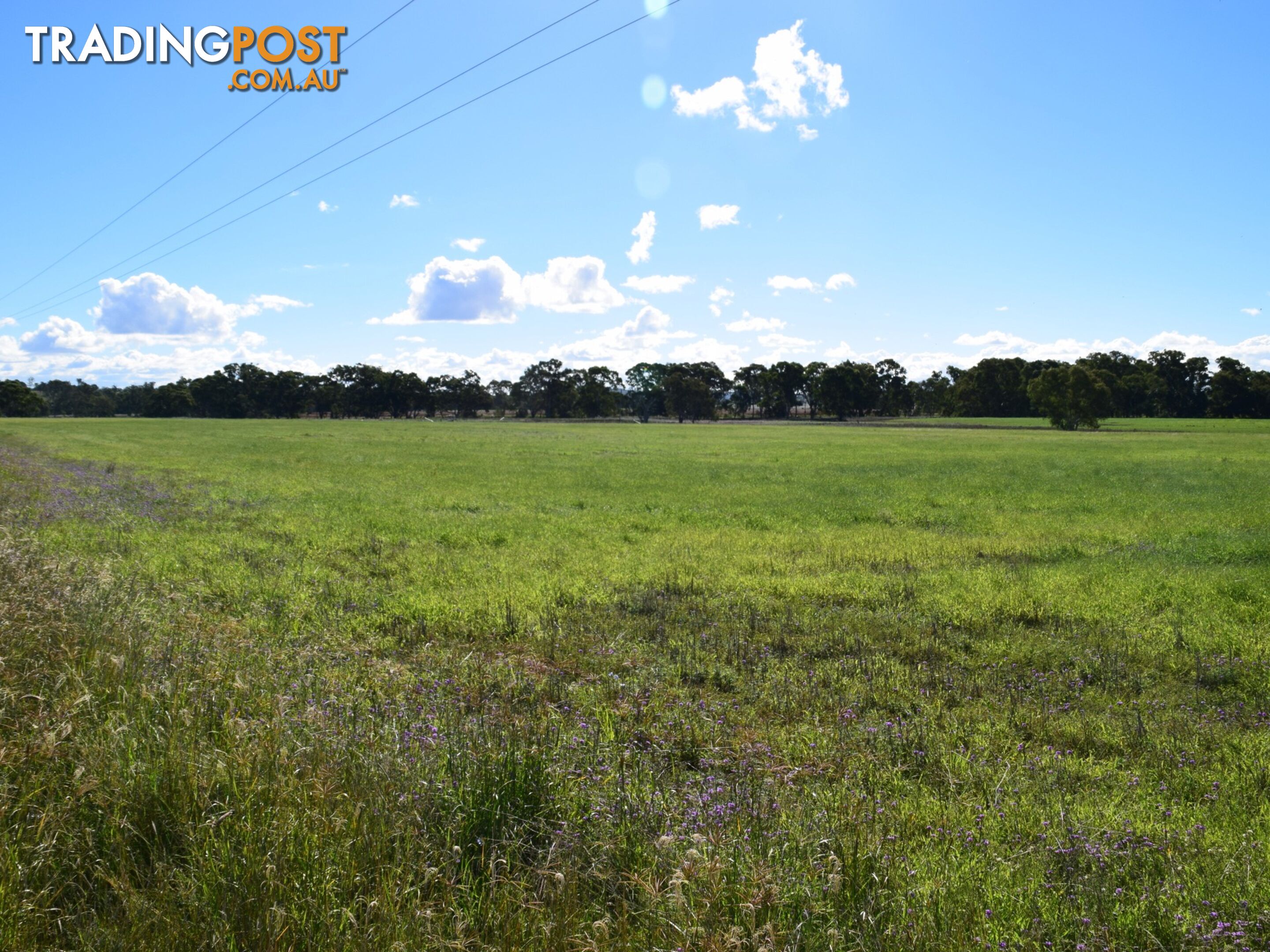 Lot 2 Leyburn-Cunningham Road WHEATVALE QLD 4370