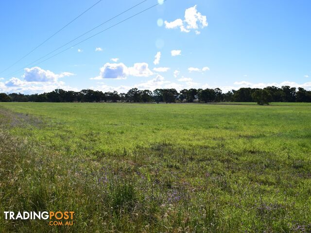 Lot 2 Leyburn-Cunningham Road WHEATVALE QLD 4370