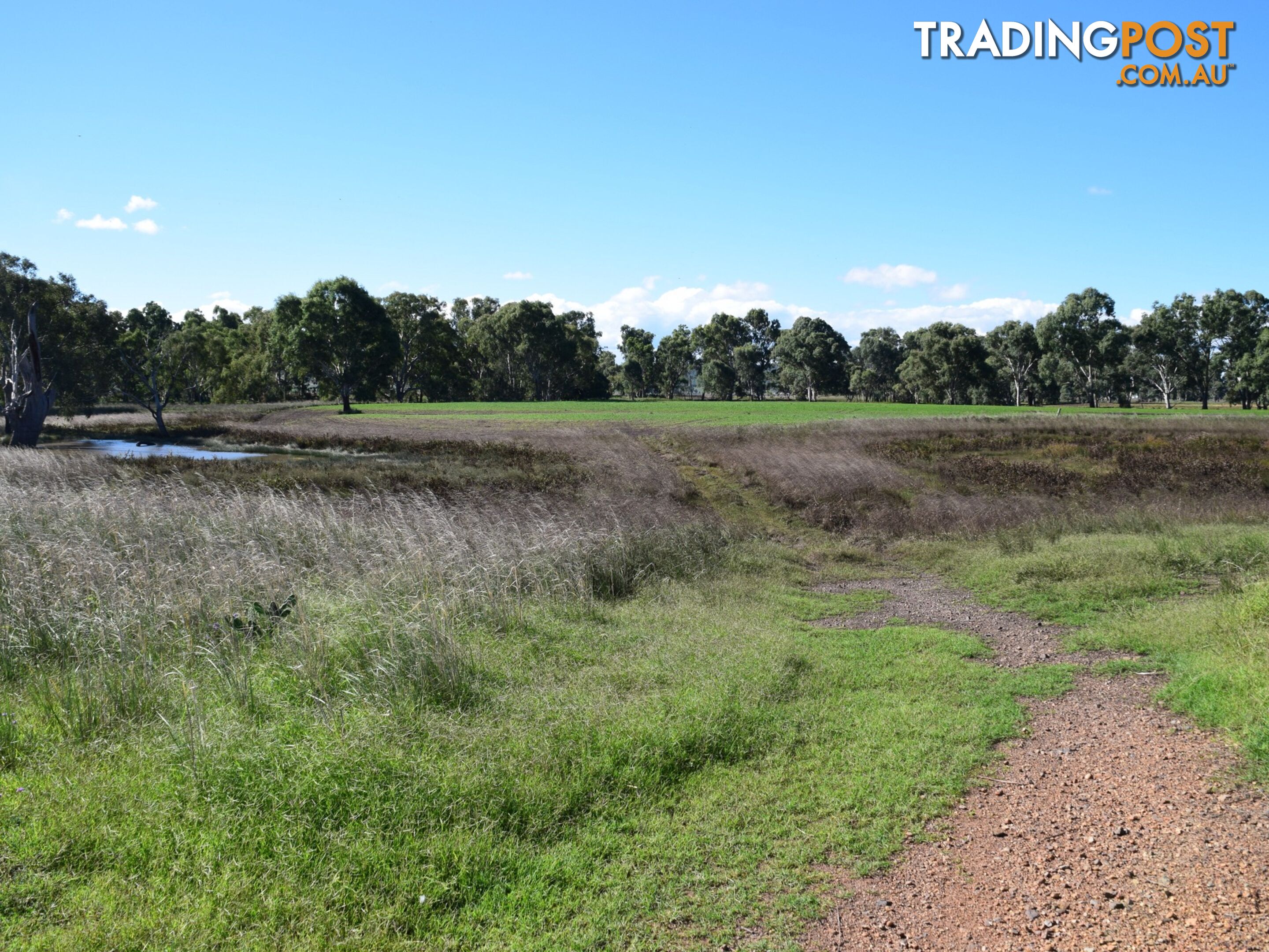 Lot 2 Leyburn-Cunningham Road WHEATVALE QLD 4370