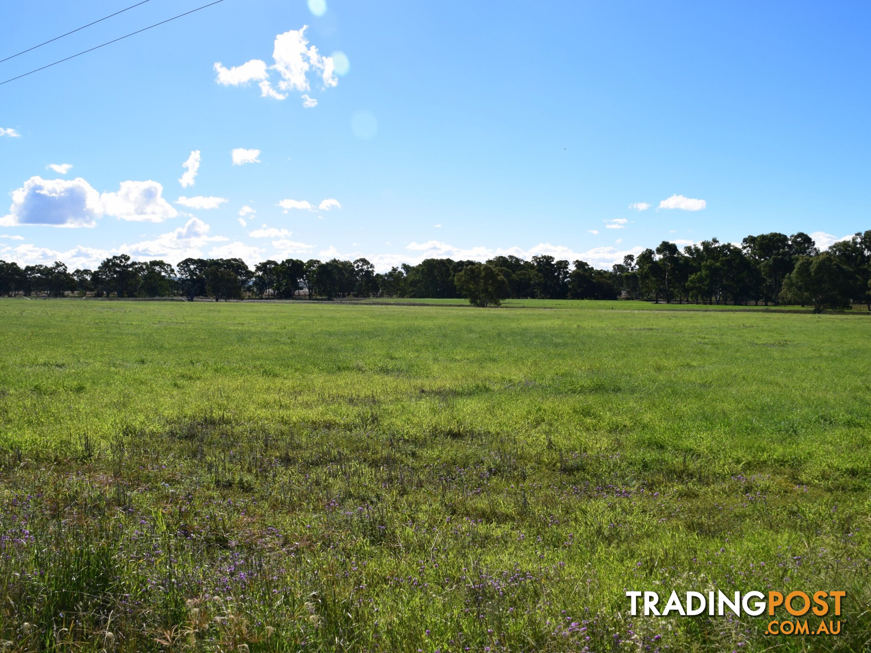 Lot 2 Leyburn-Cunningham Road WHEATVALE QLD 4370