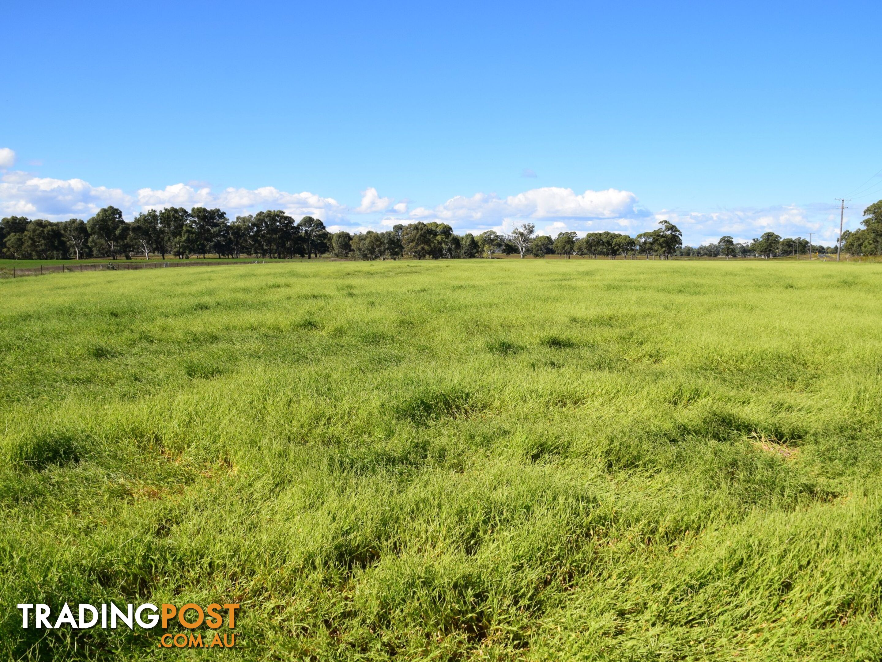 Lot 2 Leyburn-Cunningham Road WHEATVALE QLD 4370