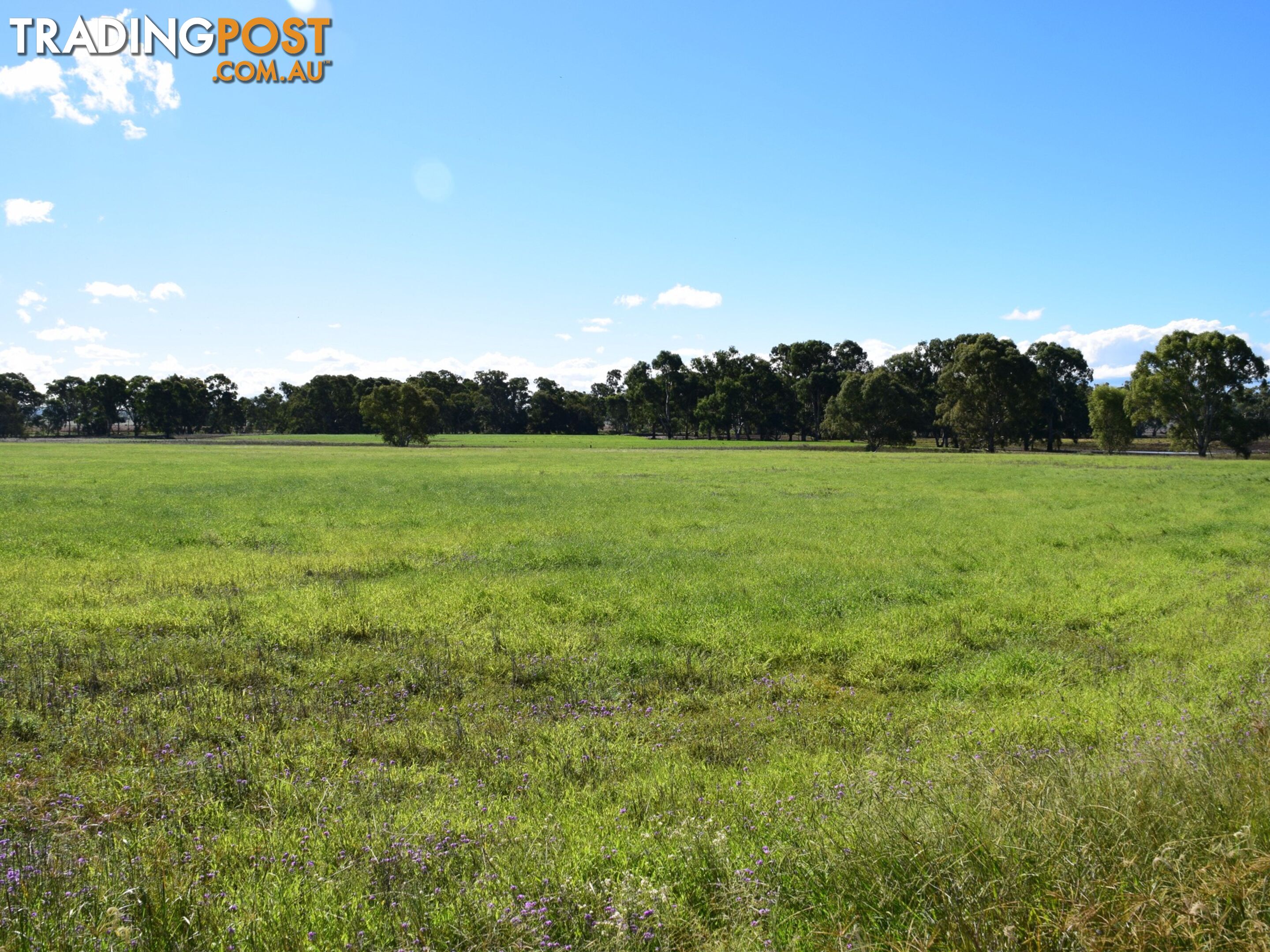 Lot 2 Leyburn-Cunningham Road WHEATVALE QLD 4370