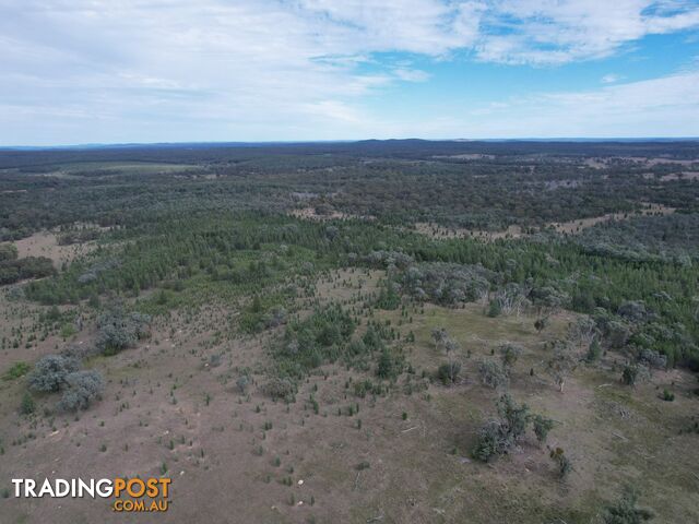 Lot 27 Tin Hut Road INGLEWOOD QLD 4387 - photo 4 of 8