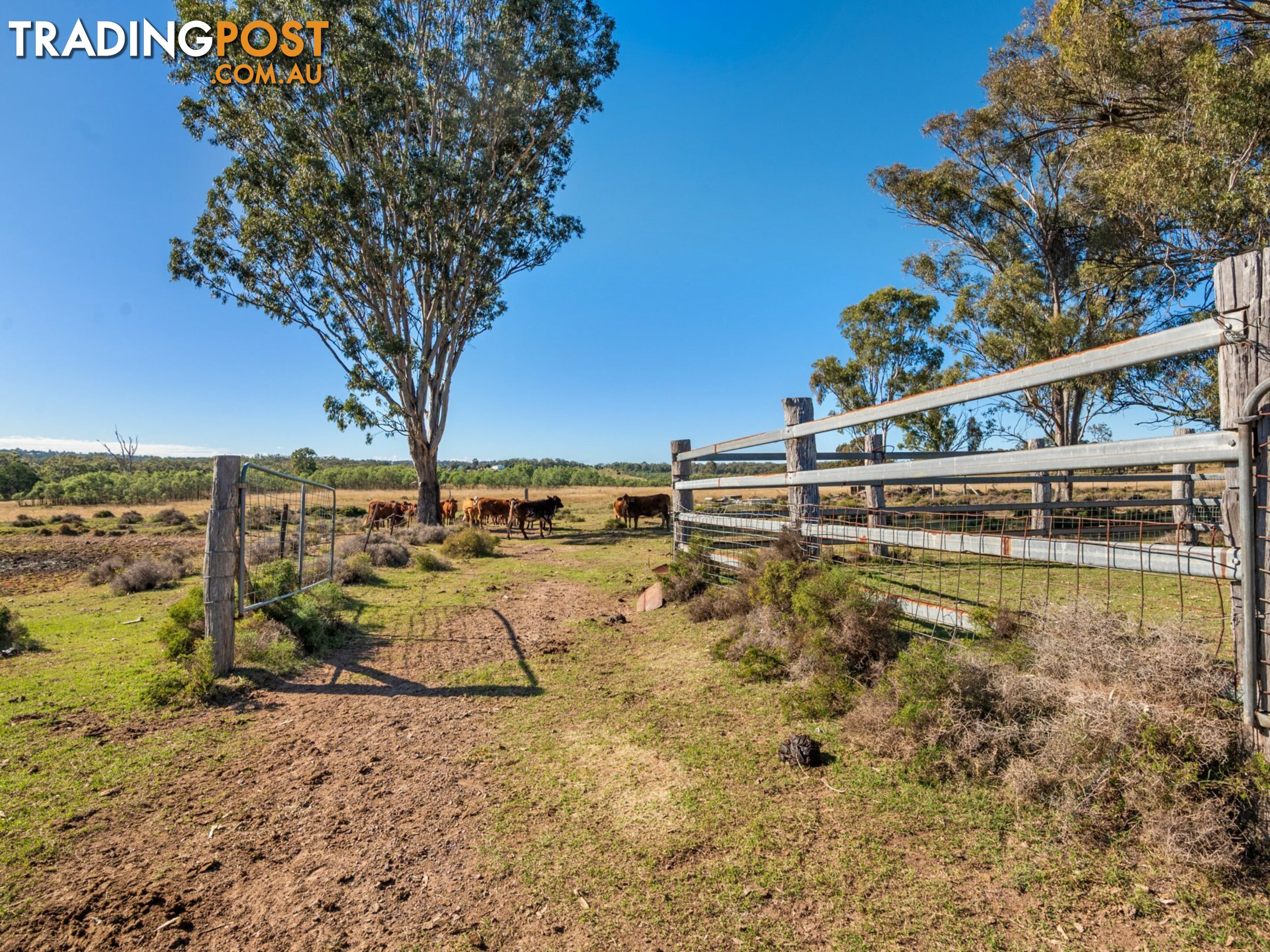 105 Ford Road ROSENTHAL HEIGHTS QLD 4370