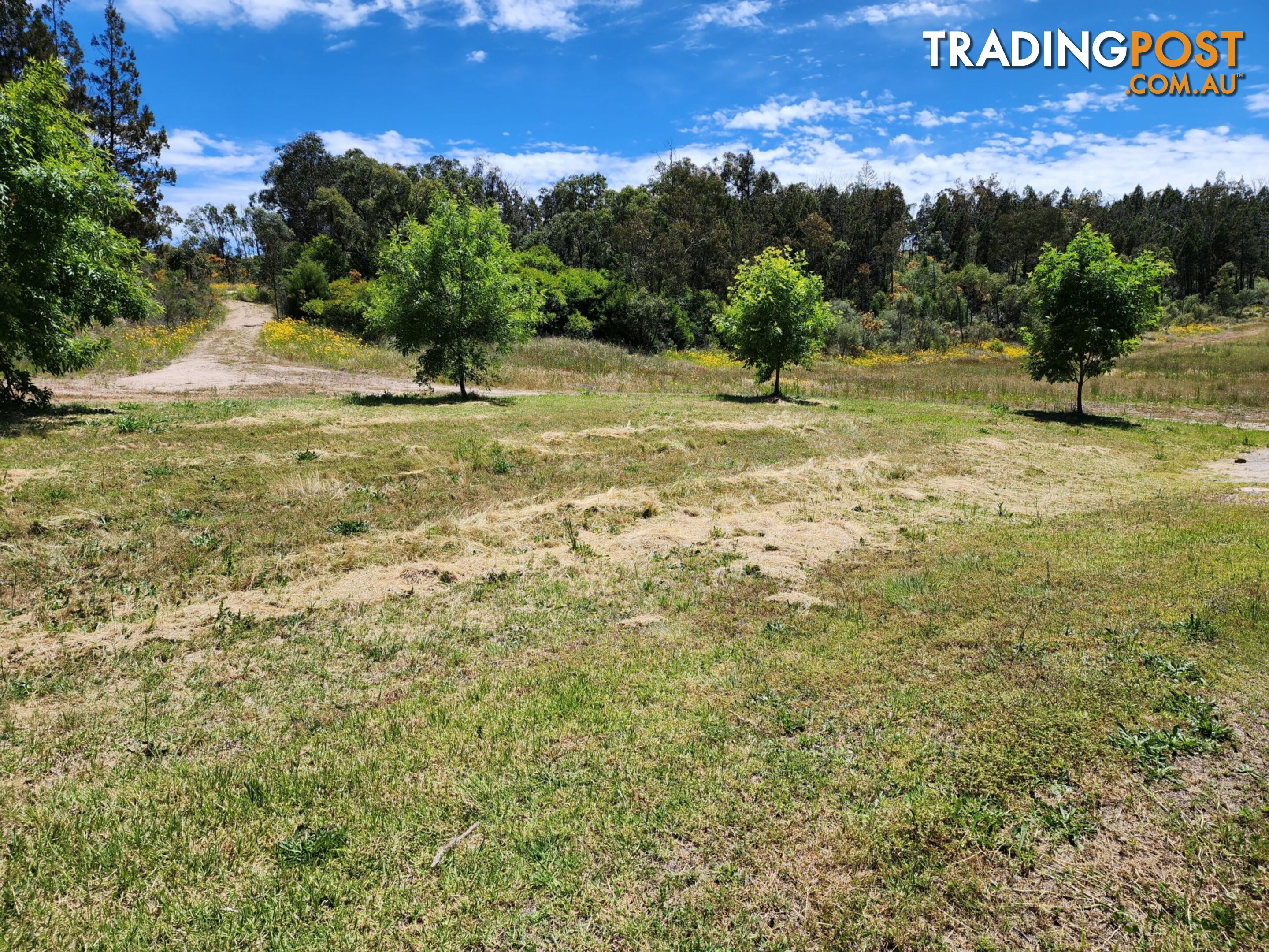 827 Thorndale Road GLEN APLIN QLD 4381