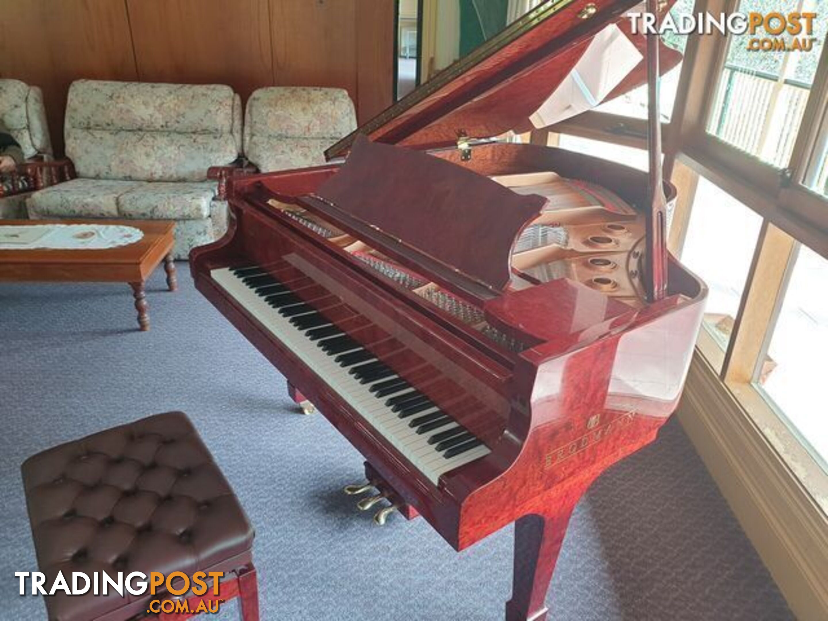 Musical Instrument For Sales Brodmann Grand Piano