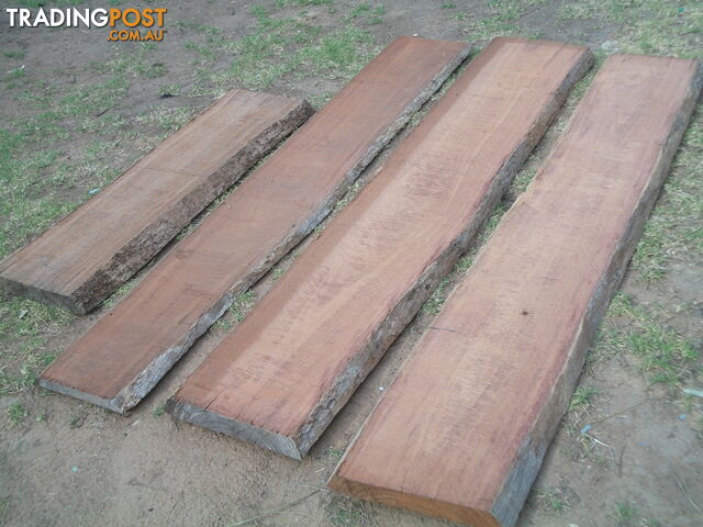 Red Ironbark Timber Slab. F27